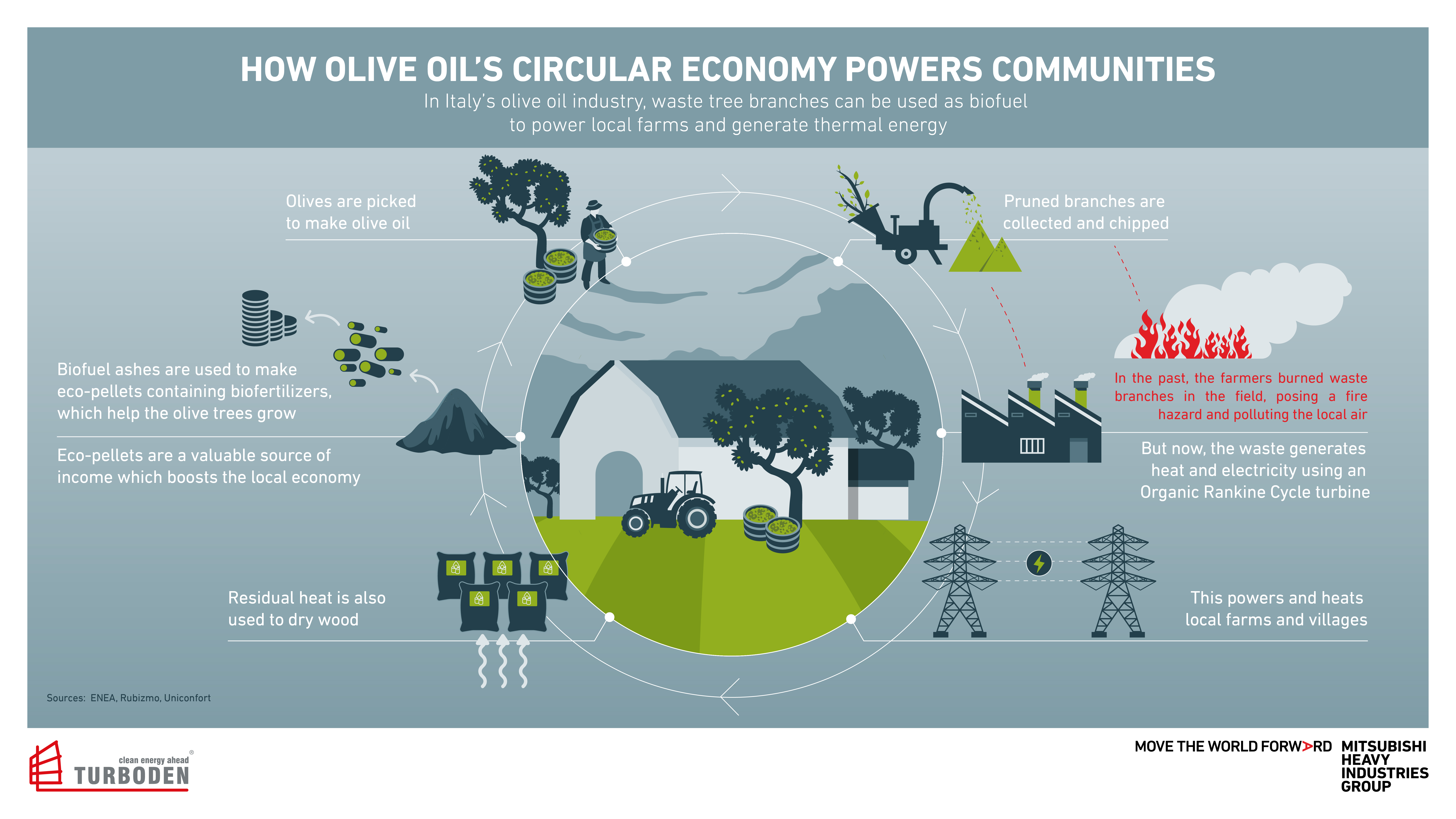 Mitsubishi Heavy Industries olive tree lifecycle graphic